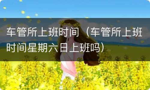 车管所上班时间（车管所上班时间星期六日上班吗）