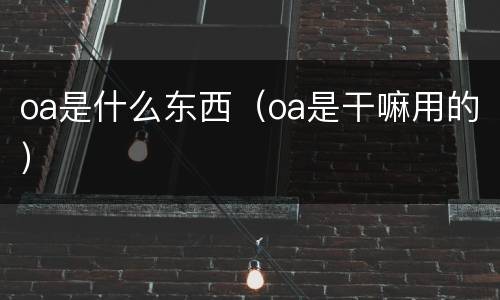 oa是什么东西（oa是干嘛用的）