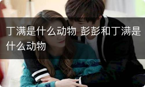 丁满是什么动物 彭彭和丁满是什么动物