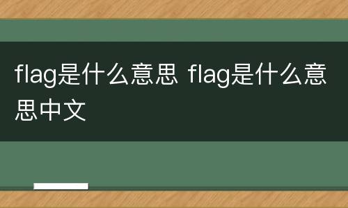 flag是什么意思 flag是什么意思中文