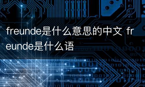 freunde是什么意思的中文 freunde是什么语