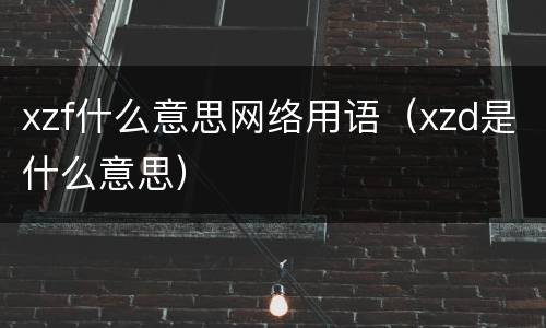 xzf什么意思网络用语（xzd是什么意思）