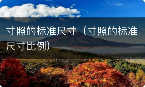 寸照的标准尺寸（寸照的标准尺寸比例）