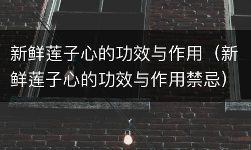 新鲜莲子心的功效与作用（新鲜莲子心的功效与作用禁忌）