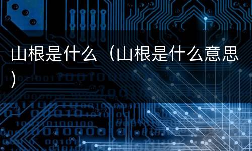 山根是什么（山根是什么意思）