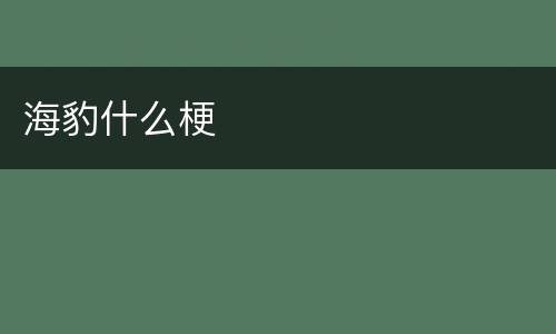 海豹什么梗