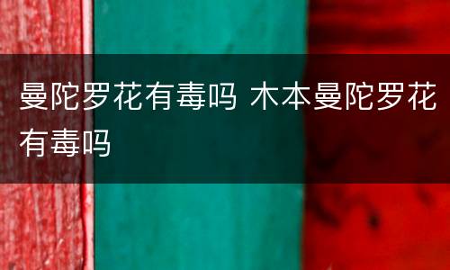 曼陀罗花有毒吗 木本曼陀罗花有毒吗