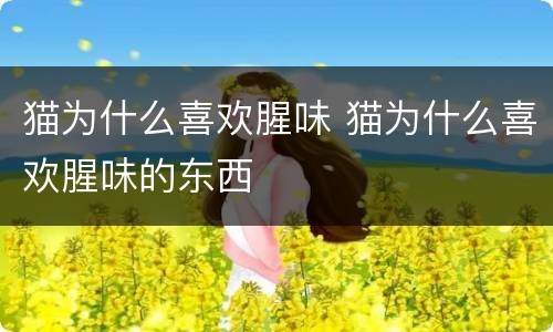 猫为什么喜欢腥味 猫为什么喜欢腥味的东西