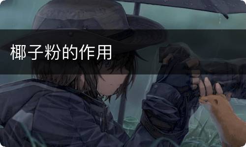 椰子粉的作用