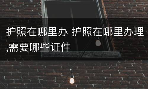 护照在哪里办 护照在哪里办理,需要哪些证件