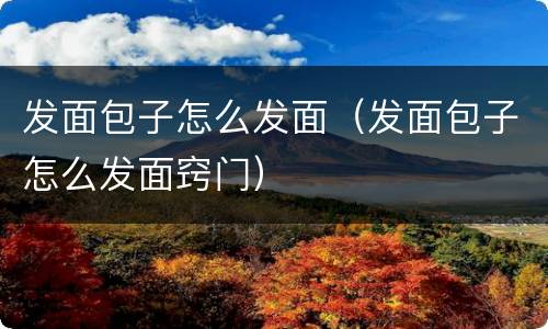 发面包子怎么发面（发面包子怎么发面窍门）