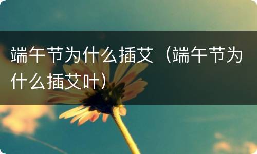 端午节为什么插艾（端午节为什么插艾叶）