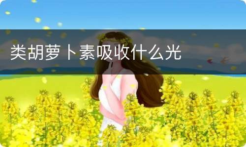 类胡萝卜素吸收什么光