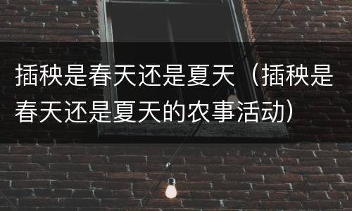 插秧是春天还是夏天（插秧是春天还是夏天的农事活动）