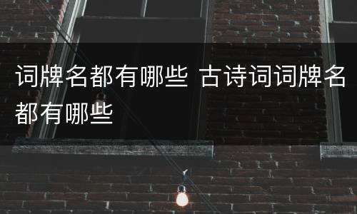 词牌名都有哪些 古诗词词牌名都有哪些