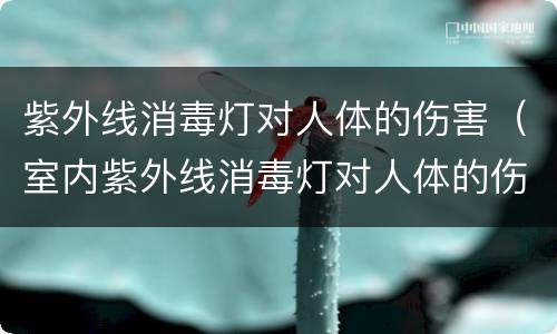 紫外线消毒灯对人体的伤害（室内紫外线消毒灯对人体的伤害）