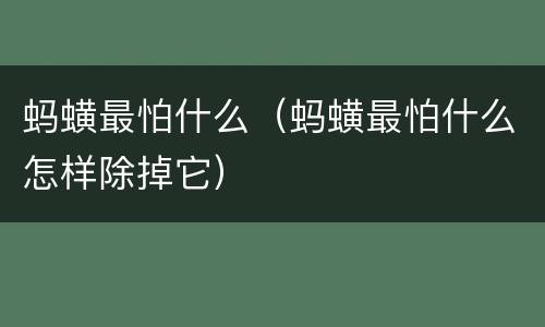 蚂蟥最怕什么（蚂蟥最怕什么怎样除掉它）