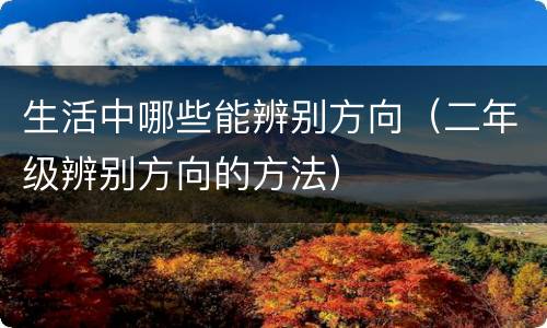 生活中哪些能辨别方向（二年级辨别方向的方法）