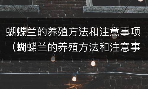蝴蝶兰的养殖方法和注意事项（蝴蝶兰的养殖方法和注意事项视频）