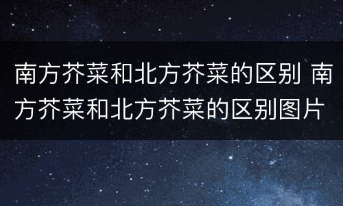 南方芥菜和北方芥菜的区别 南方芥菜和北方芥菜的区别图片