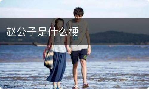 赵公子是什么梗