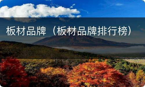 板材品牌（板材品牌排行榜）