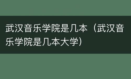 武汉音乐学院是几本（武汉音乐学院是几本大学）