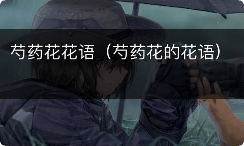 芍药花花语（芍药花的花语）