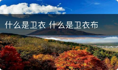 什么是卫衣 什么是卫衣布