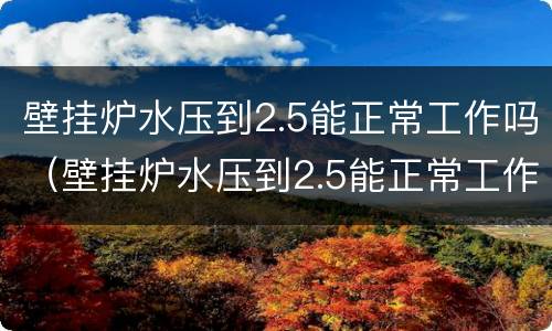 壁挂炉水压到2.5能正常工作吗（壁挂炉水压到2.5能正常工作吗为什么）