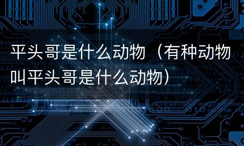 平头哥是什么动物（有种动物叫平头哥是什么动物）