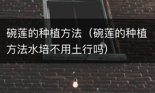 碗莲的种植方法（碗莲的种植方法水培不用土行吗）