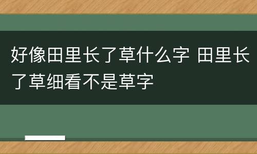 好像田里长了草什么字 田里长了草细看不是草字
