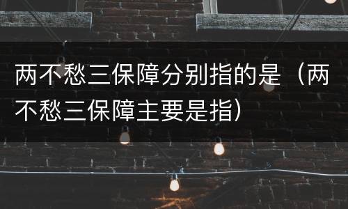 两不愁三保障分别指的是（两不愁三保障主要是指）