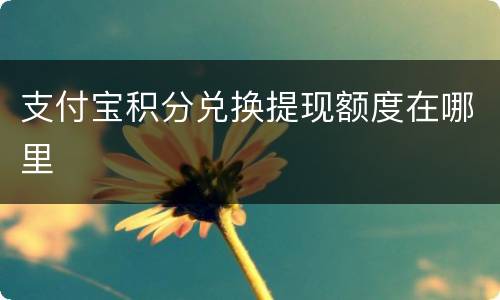 支付宝积分兑换提现额度在哪里