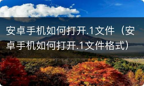 安卓手机如何打开.1文件（安卓手机如何打开.1文件格式）