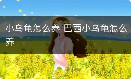 小乌龟怎么养 巴西小乌龟怎么养