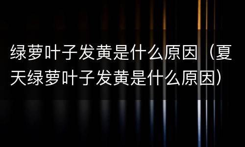 绿萝叶子发黄是什么原因（夏天绿萝叶子发黄是什么原因）