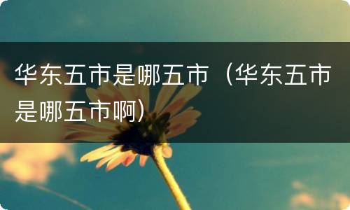 华东五市是哪五市（华东五市是哪五市啊）