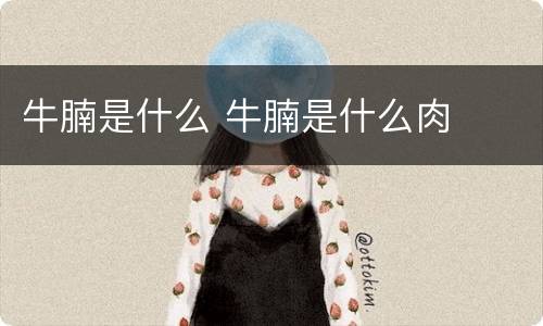 牛腩是什么 牛腩是什么肉