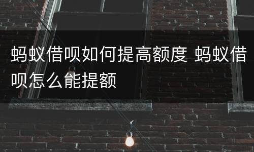 蚂蚁借呗如何提高额度 蚂蚁借呗怎么能提额