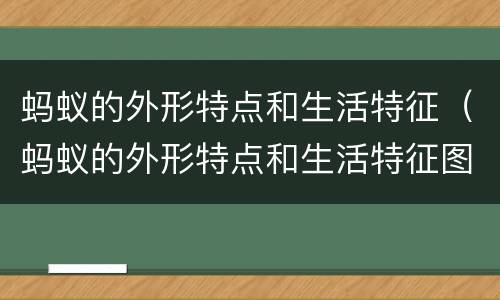 蚂蚁的外形特点和生活特征（蚂蚁的外形特点和生活特征图片）