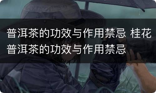 普洱茶的功效与作用禁忌 桂花普洱茶的功效与作用禁忌