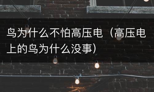 鸟为什么不怕高压电（高压电上的鸟为什么没事）