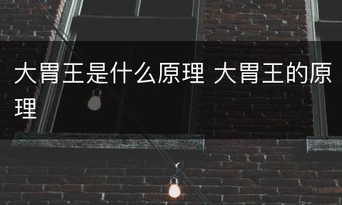 大胃王是什么原理 大胃王的原理