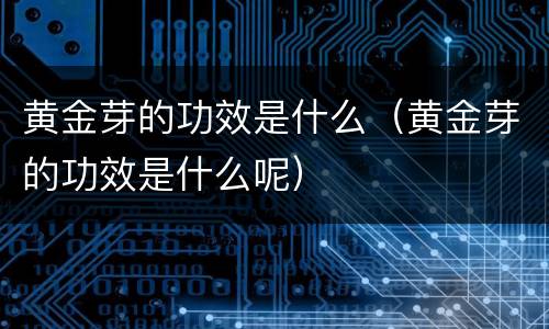 黄金芽的功效是什么（黄金芽的功效是什么呢）