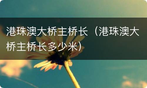 港珠澳大桥主桥长（港珠澳大桥主桥长多少米）
