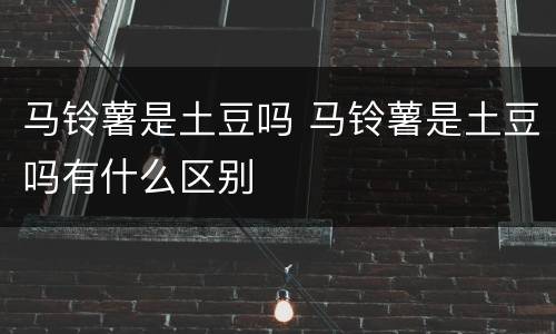 马铃薯是土豆吗 马铃薯是土豆吗有什么区别
