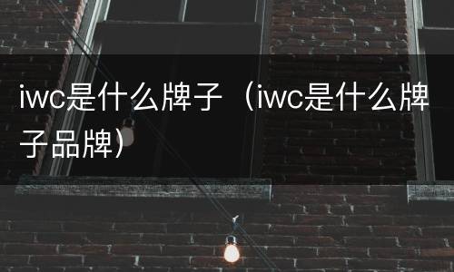 iwc是什么牌子（iwc是什么牌子品牌）
