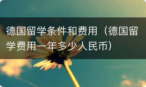德国留学条件和费用（德国留学费用一年多少人民币）